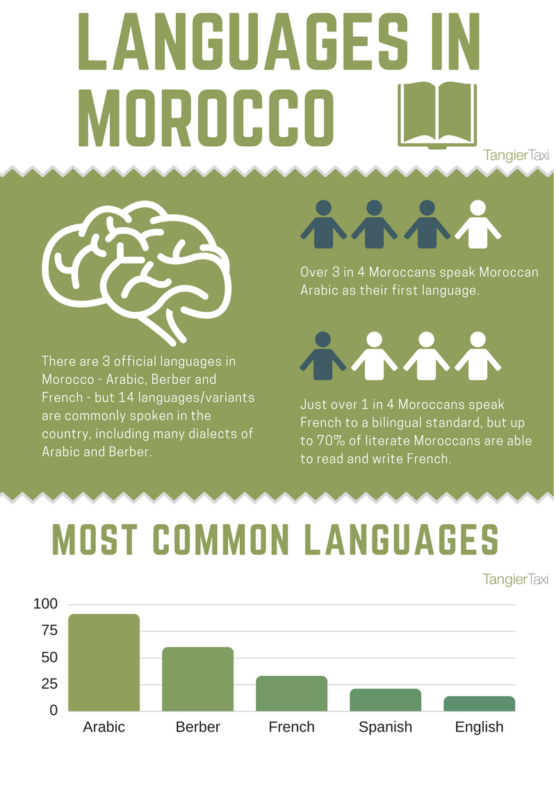 languages in morocco