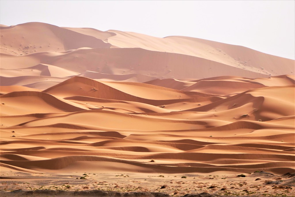 Merzouga travel guide 2022 cover image
