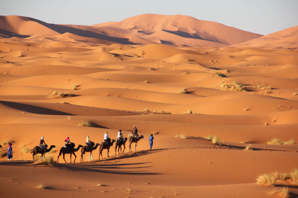 Ten things you need to know about the Moroccan Sahara cover image