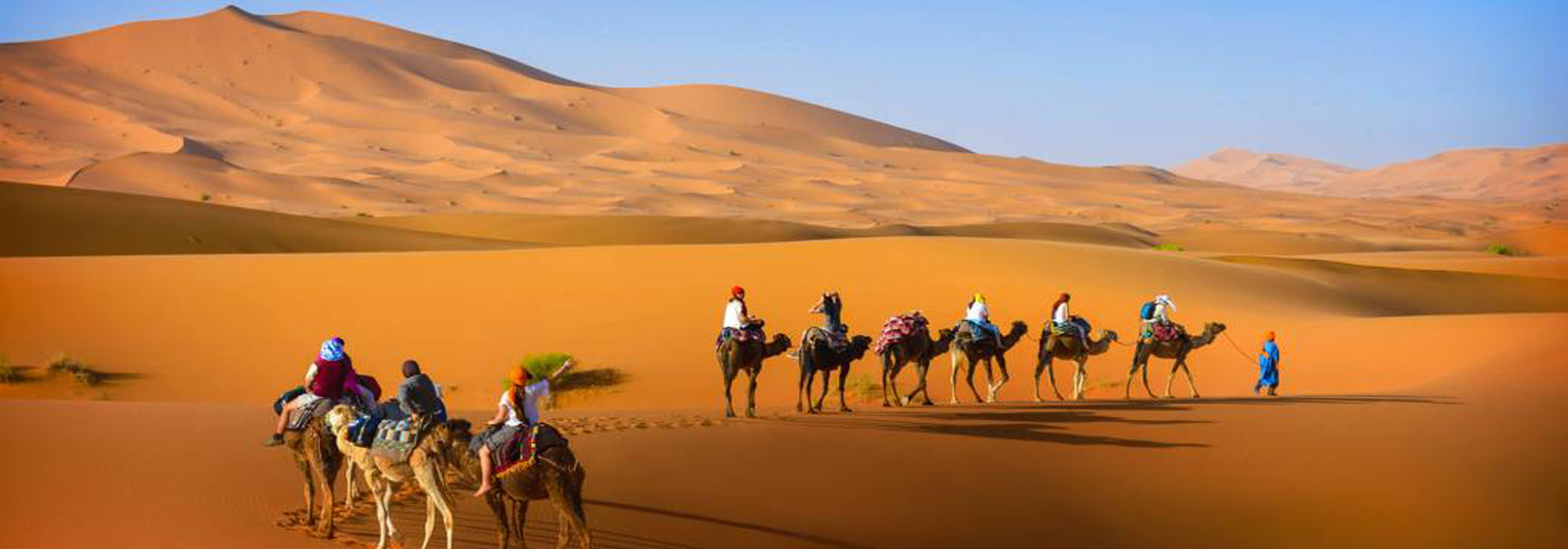 Marrakech tours